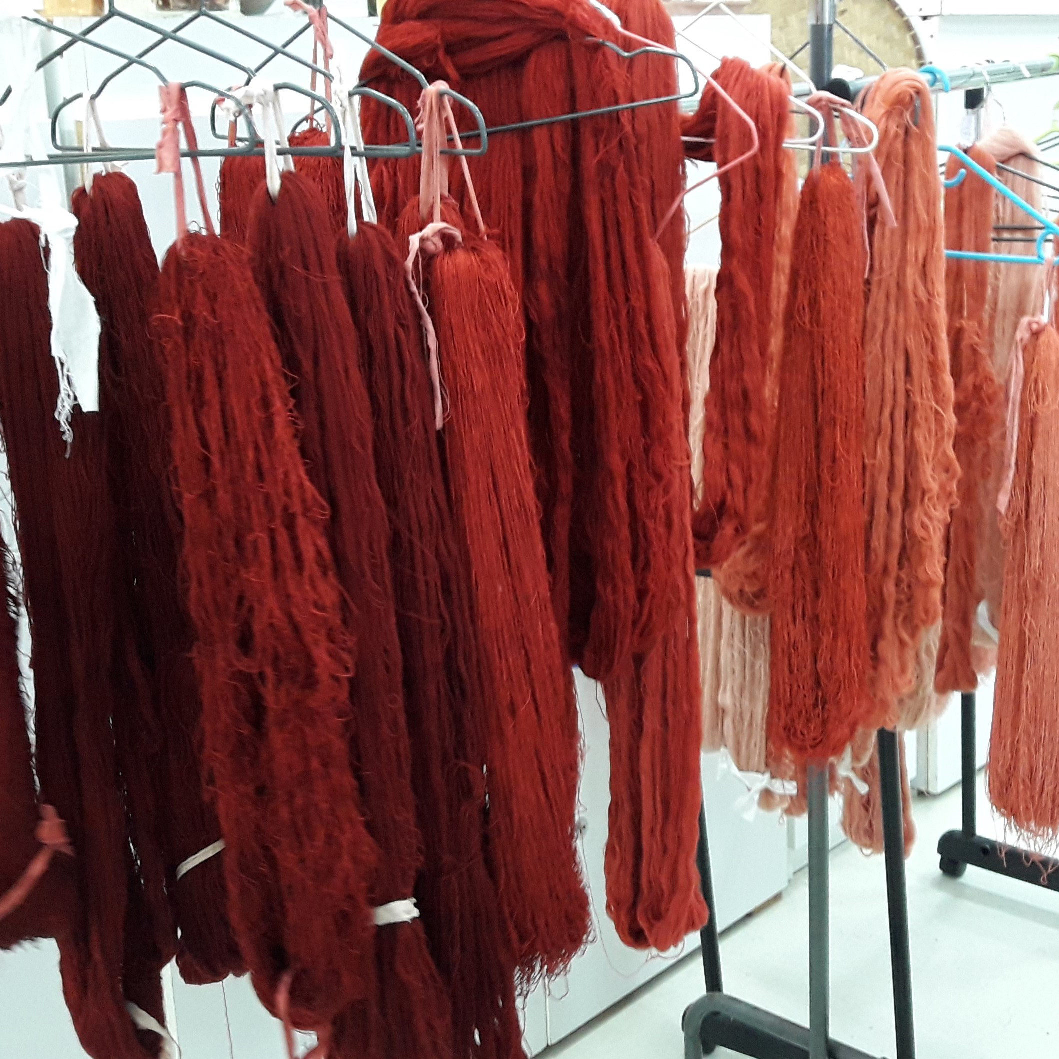 Extraits de Garance riche C03 – Image 3